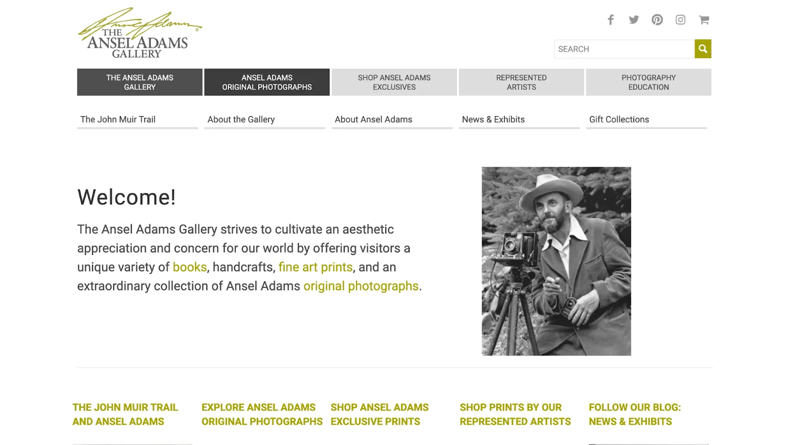 9. The Ansel Adams Gallery 